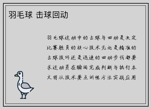 羽毛球 击球回动
